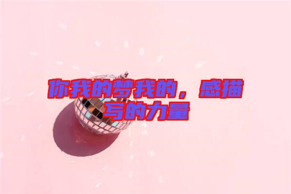 你我的夢(mèng)我的，感描寫(xiě)的力量