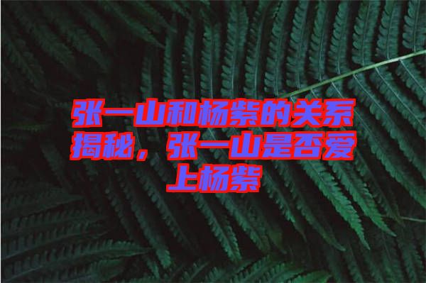 張一山和楊紫的關系揭秘，張一山是否愛上楊紫