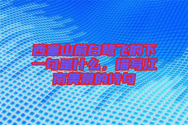 西塞山前白鷺飛的下一句是什么，描寫江南美景的詩(shī)句