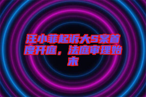 汪小菲起訴大S案首度開庭，法庭審理始末