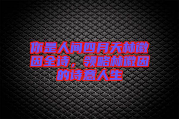 你是人間四月天林徽因全詩，領略林徽因的詩意人生