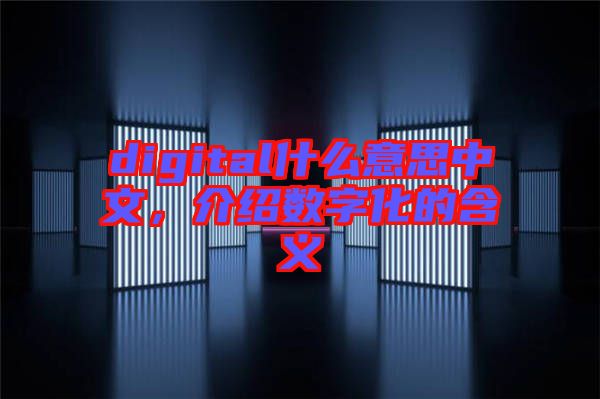 digital什么意思中文，介紹數(shù)字化的含義