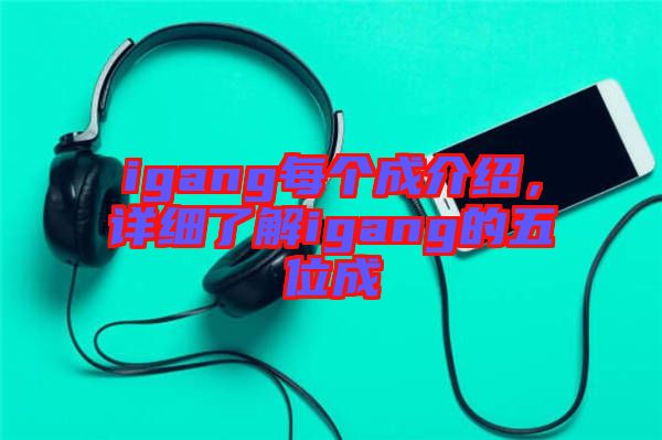 igang每個成介紹，詳細了解igang的五位成