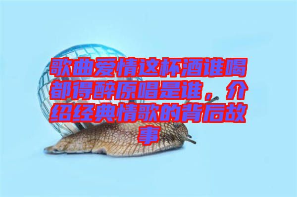 歌曲愛情這杯酒誰喝都得醉原唱是誰，介紹經典情歌的背后故事