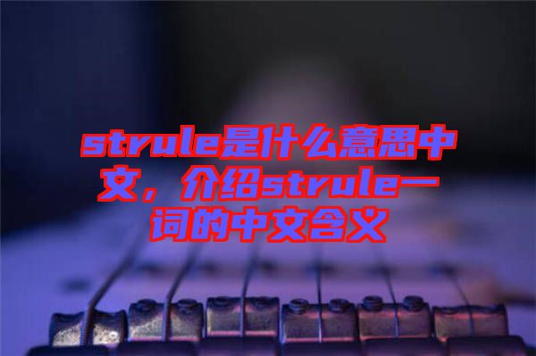 strule是什么意思中文，介紹strule一詞的中文含義