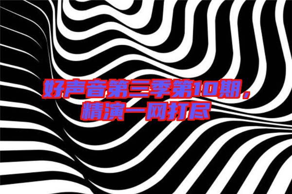 好聲音第三季第10期，精演一網打盡