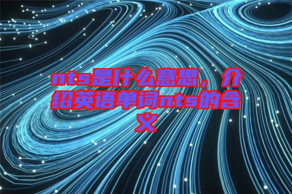 nts是什么意思，介紹英語單詞nts的含義
