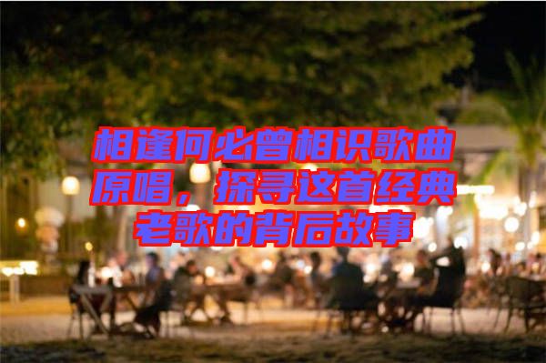 相逢何必曾相識歌曲原唱，探尋這首經典老歌的背后故事