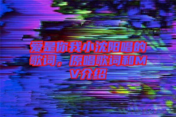 愛是你我小沈陽唱的歌詞，原唱歌詞和MV介紹