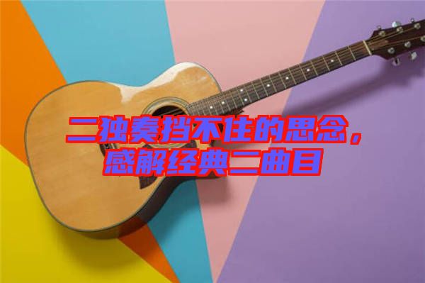 二獨奏擋不住的思念，感解經(jīng)典二曲目