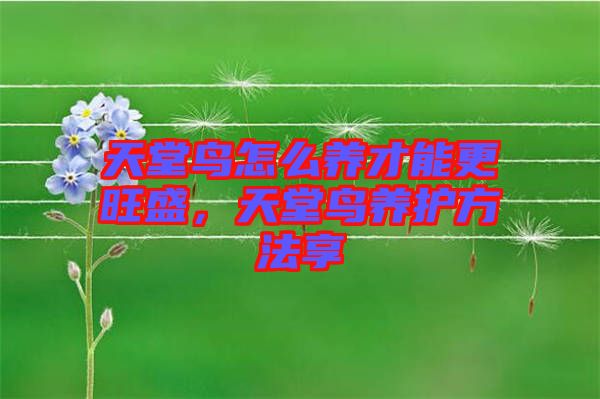 天堂鳥怎么養才能更旺盛，天堂鳥養護方法享