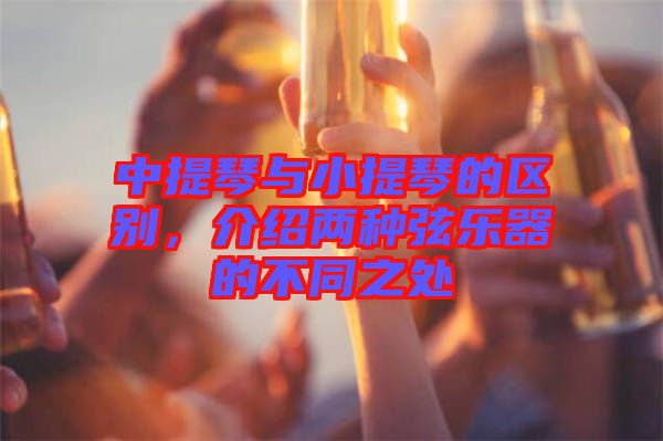 中提琴與小提琴的區(qū)別，介紹兩種弦樂(lè)器的不同之處