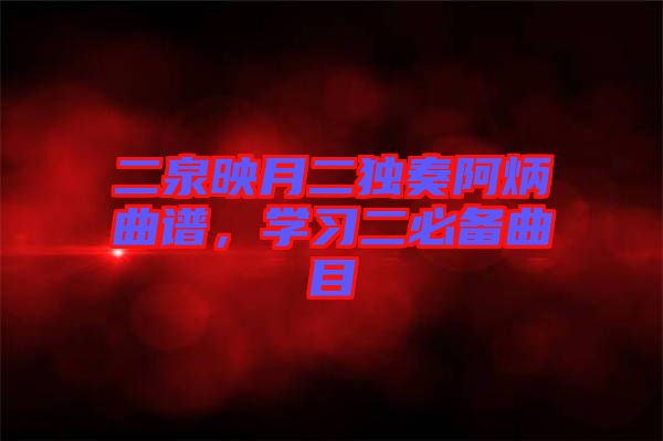 二泉映月二獨奏阿炳曲譜，學習二必備曲目