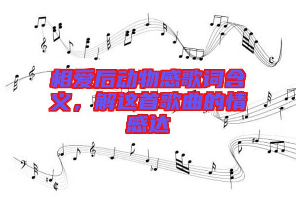相愛后動物感歌詞含義，解這首歌曲的情感達