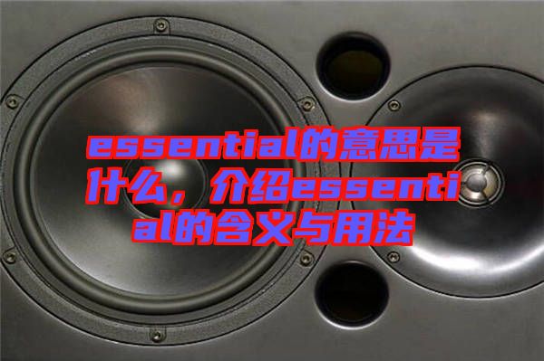 essential的意思是什么，介紹essential的含義與用法
