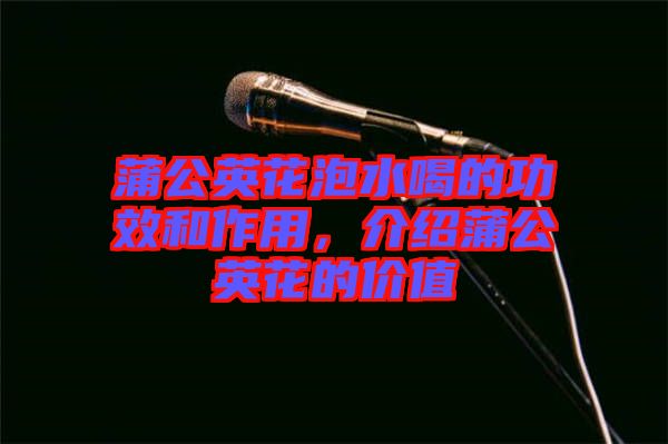 蒲公英花泡水喝的功效和作用，介紹蒲公英花的價值