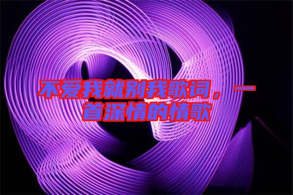 不愛我就別我歌詞，一首深情的情歌
