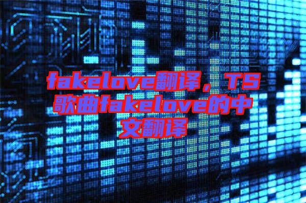 fakelove翻譯，TS歌曲fakelove的中文翻譯