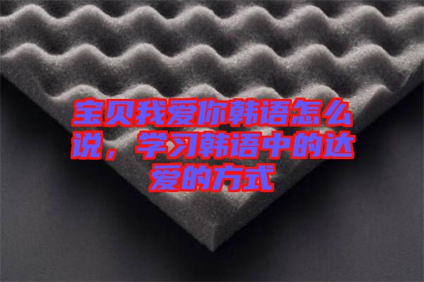 寶貝我愛你韓語怎么說，學習韓語中的達愛的方式