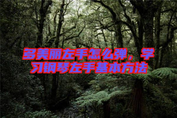 多美麗左手怎么彈，學習鋼琴左手基本方法
