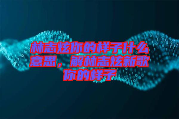 林志炫你的樣子什么意思，解林志炫新歌你的樣子