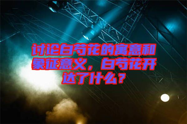 討論白芍花的寓意和象征意義，白芍花開達(dá)了什么？