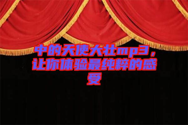 中的天使大壯mp3，讓你體驗最純粹的感受