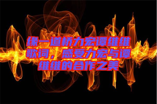 緣一道橋力宏譚維維歌詞，感受力宏與譚維維的合作之美