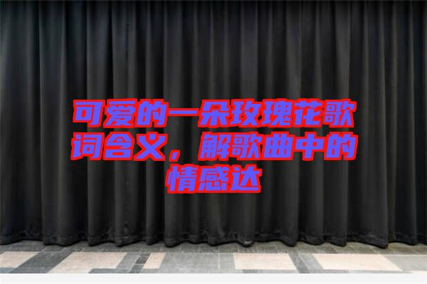 可愛的一朵玫瑰花歌詞含義，解歌曲中的情感達