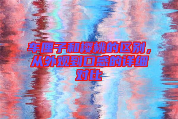 車厘子和櫻桃的區別，從外觀到口感的詳細對比