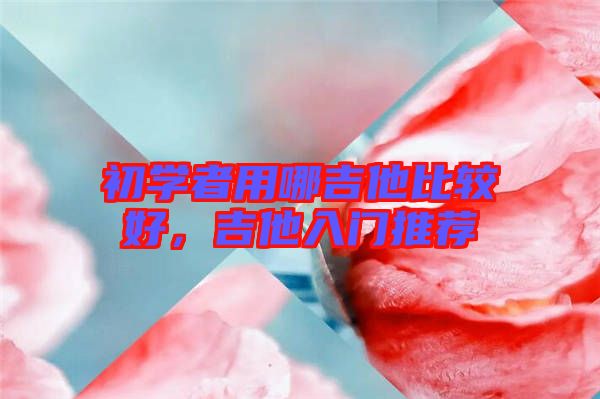 初學(xué)者用哪吉他比較好，吉他入門(mén)推薦