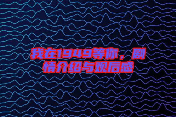 我在1949等你，劇情介紹與觀后感