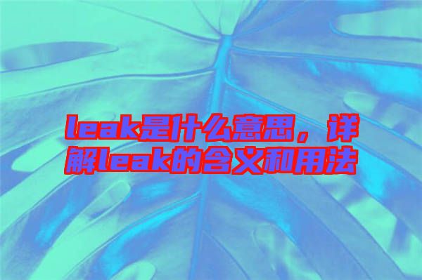 leak是什么意思，詳解leak的含義和用法