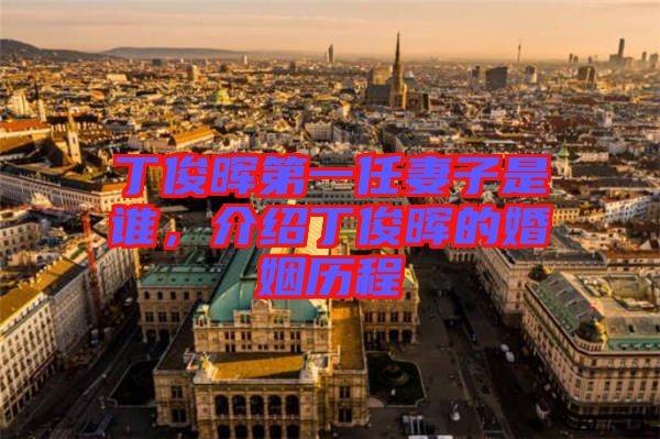 丁俊暉第一任妻子是誰，介紹丁俊暉的婚姻歷程