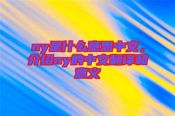 ny是什么意思中文，介紹ny的中文翻譯和意義