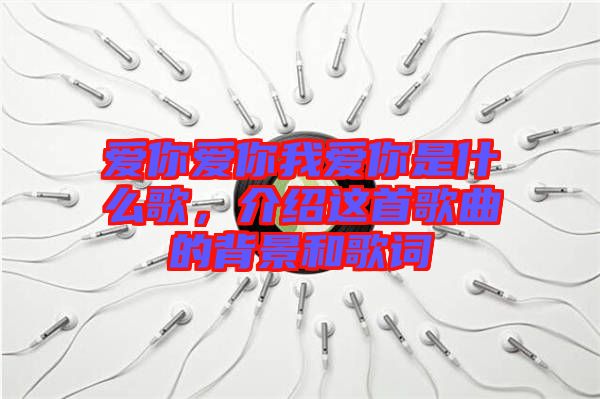 愛你愛你我愛你是什么歌，介紹這首歌曲的背景和歌詞
