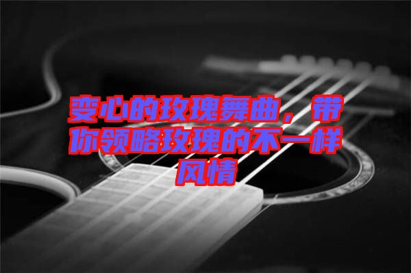 變心的玫瑰舞曲，帶你領略玫瑰的不一樣風情