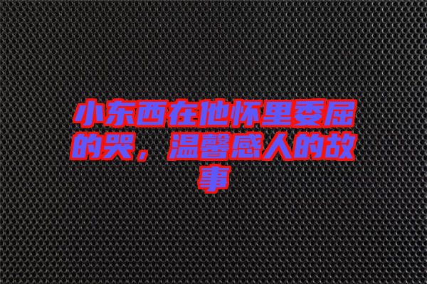 小東西在他懷里委屈的哭，溫馨感人的故事