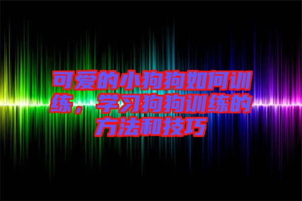 可愛的小狗狗如何訓練，學習狗狗訓練的方法和技巧