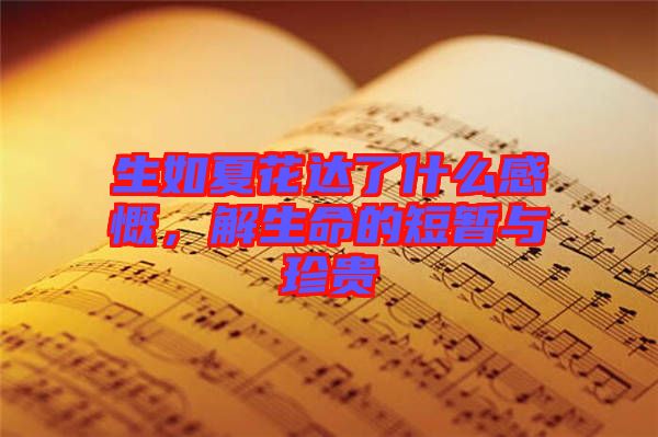 生如夏花達(dá)了什么感慨，解生命的短暫與珍貴