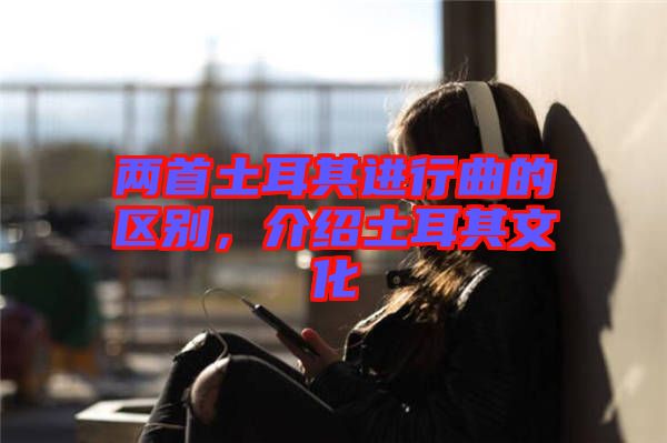 兩首土耳其進(jìn)行曲的區(qū)別，介紹土耳其文化