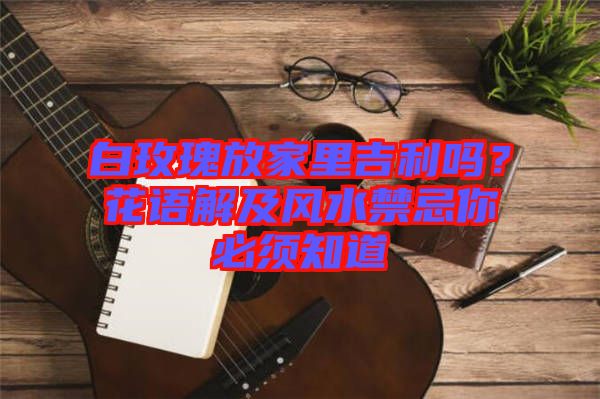 白玫瑰放家里吉利嗎？花語解及風(fēng)水禁忌你必須知道