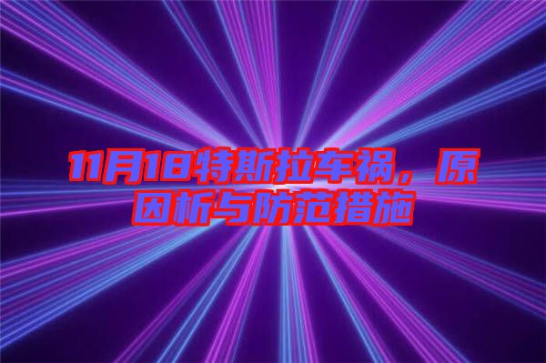 11月18特斯拉車(chē)禍，原因析與防范措施