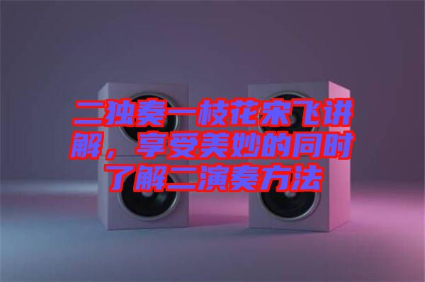 二獨奏一枝花宋飛講解，享受美妙的同時了解二演奏方法