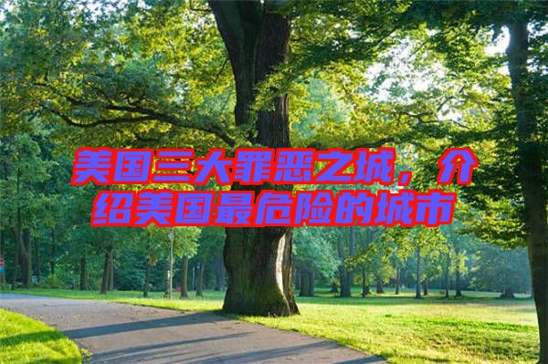 美國三大罪惡之城，介紹美國最危險的城市