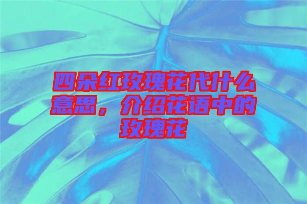 四朵紅玫瑰花代什么意思，介紹花語中的玫瑰花