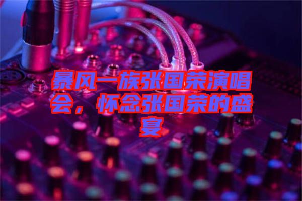 暴風(fēng)一族張國榮演唱會，懷念張國榮的盛宴
