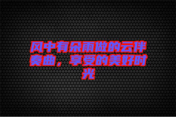 風(fēng)中有朵雨做的云伴奏曲，享受的美好時(shí)光