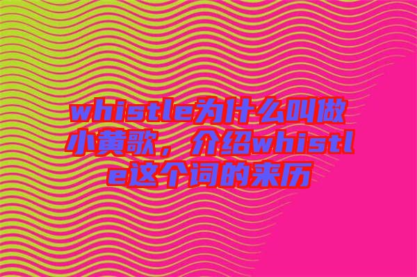 whistle為什么叫做小黃歌，介紹whistle這個(gè)詞的來歷
