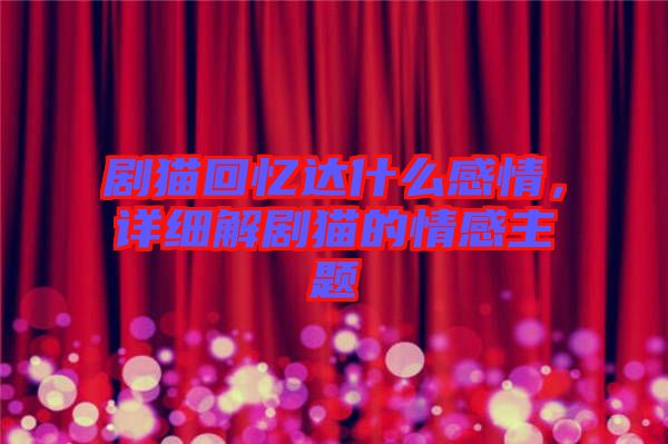 劇貓回憶達什么感情，詳細解劇貓的情感主題